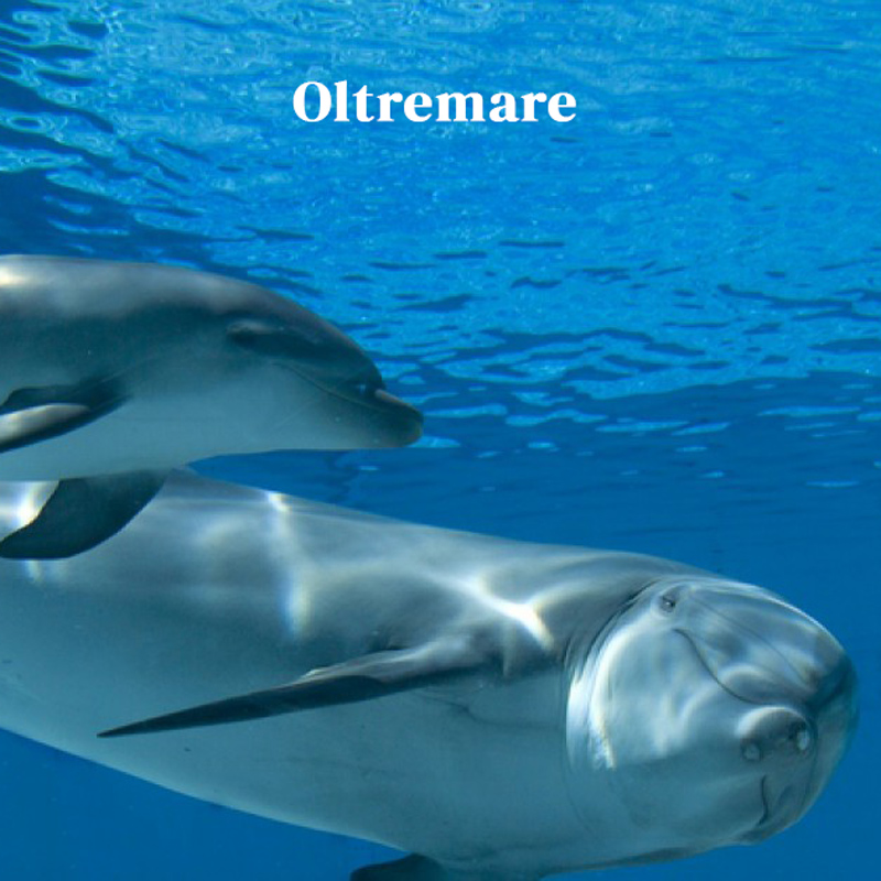 Oltremare - Riccione