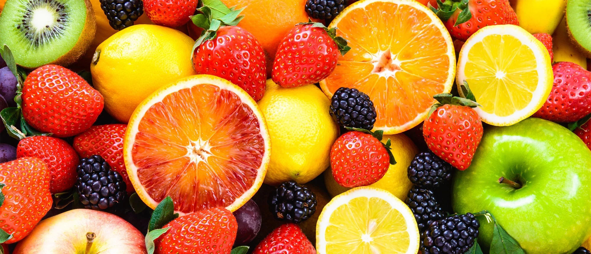 media.offerta-macfrut-hotel-rimini-riccione