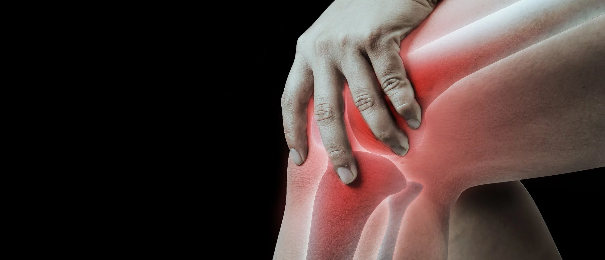 media.trauma meeting riccione