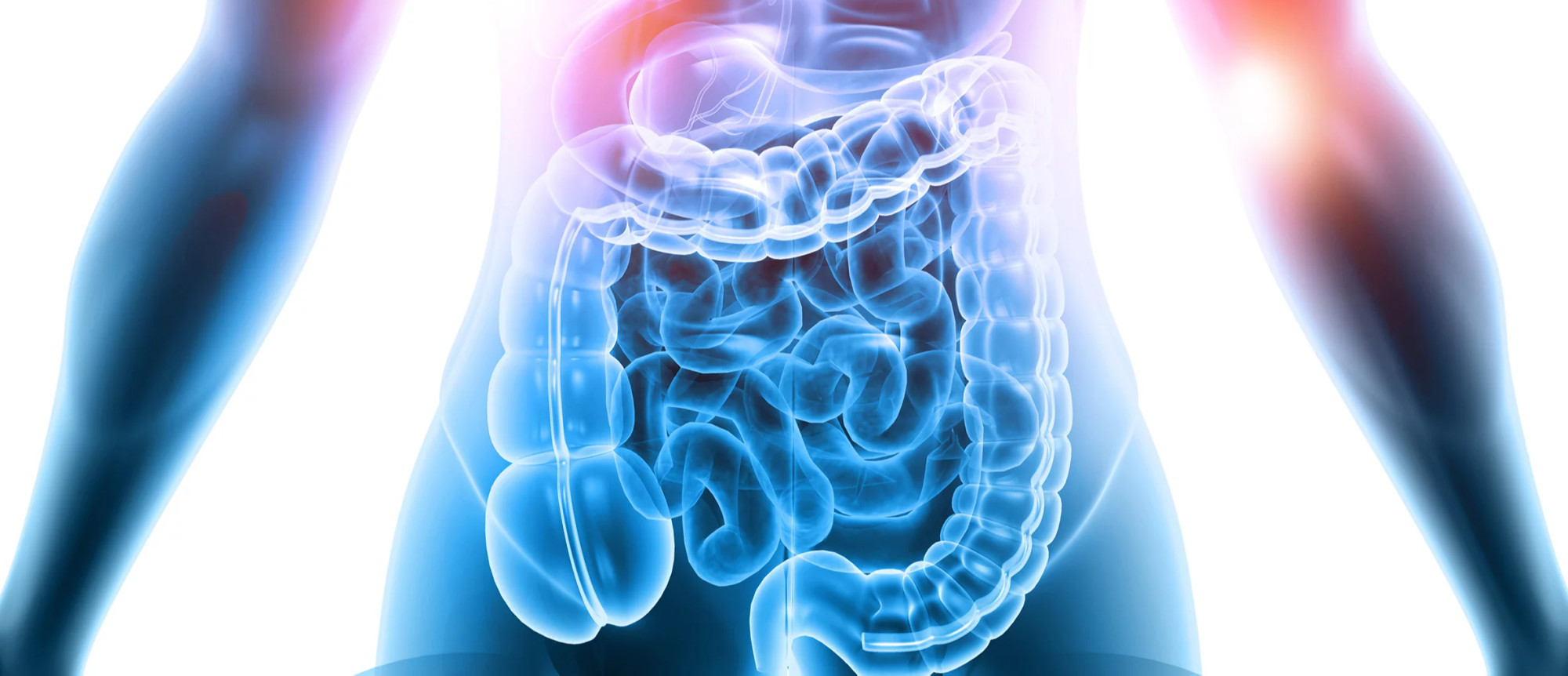 media.IG IBD congresso per malattie intestinali