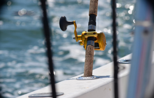 media.maximilians-hotels-rimini-riccione-pescare-show-the-international-event-for-sport-fishing-rimini-fiera